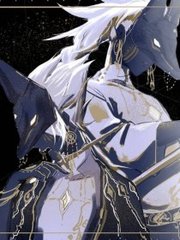 猫咪官方社区app官网